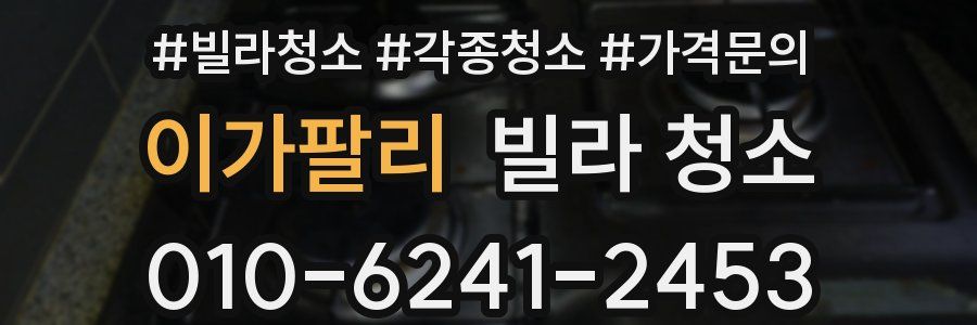 이가팔리 빌라 청소