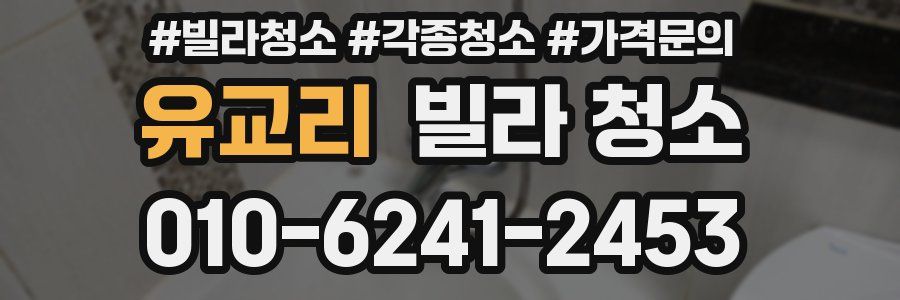 유교리 빌라 청소