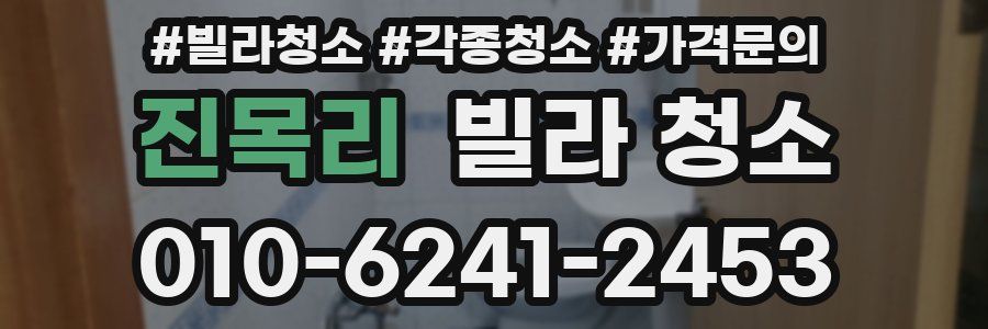 진목리 빌라 청소