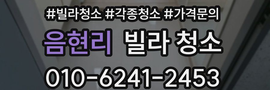 음현리 빌라 청소