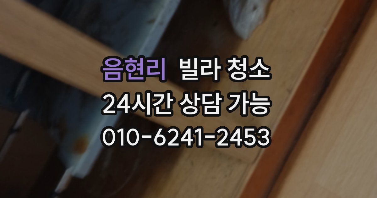 음현리 빌라 청소