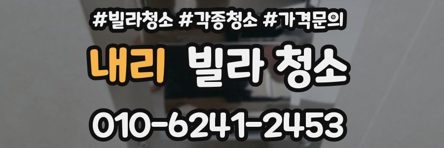 내리 빌라 청소