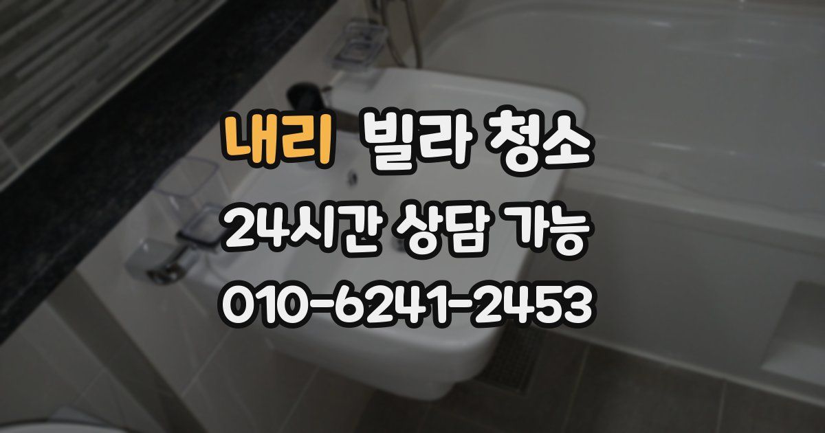 내리 빌라 청소