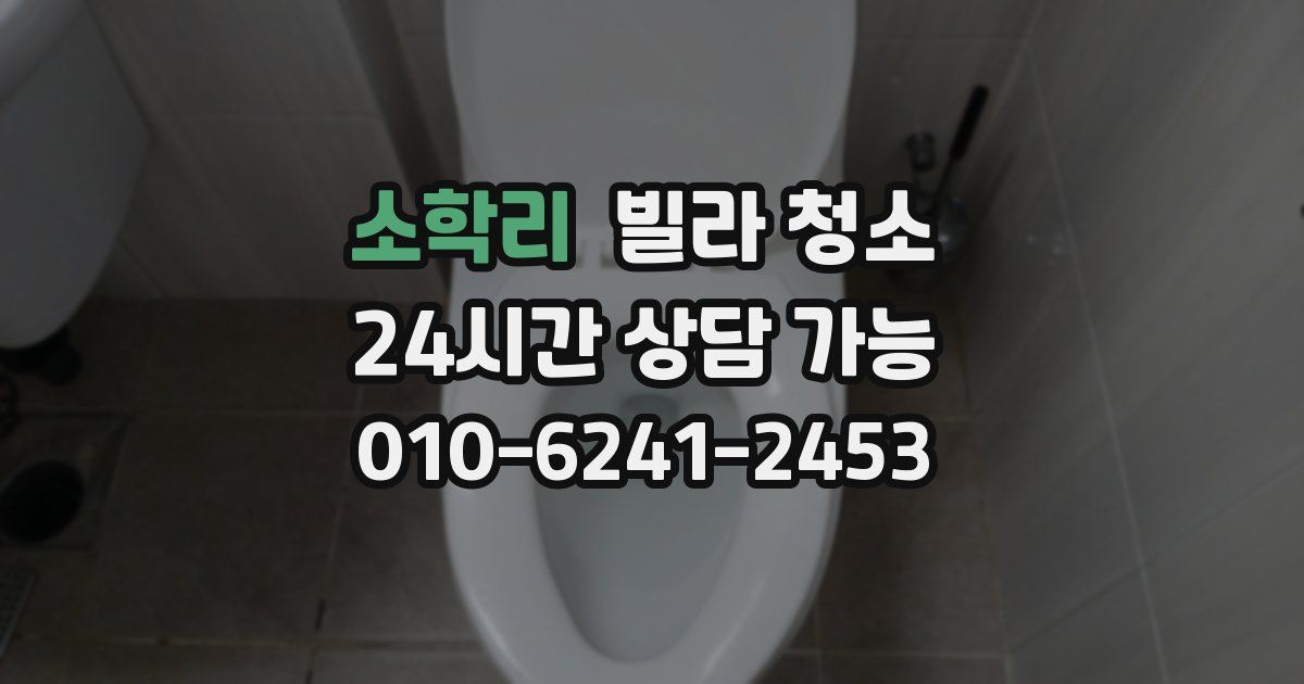 소학리 빌라 청소