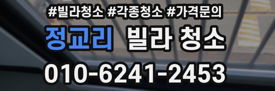 정교리 빌라 청소