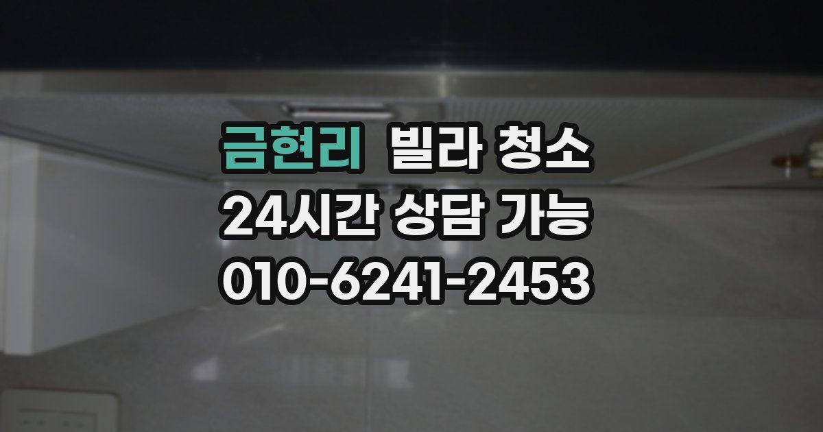 금현리 빌라 청소