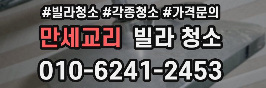 만세교리 빌라 청소