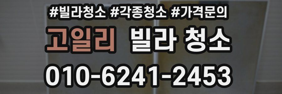 고일리 빌라 청소