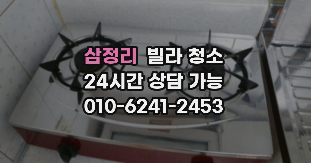 삼정리 빌라 청소