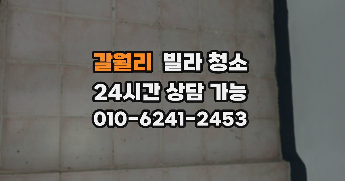 갈월리 빌라 청소