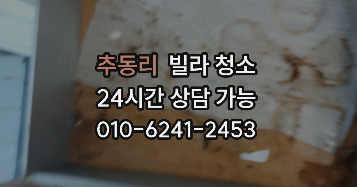 추동리 빌라 청소