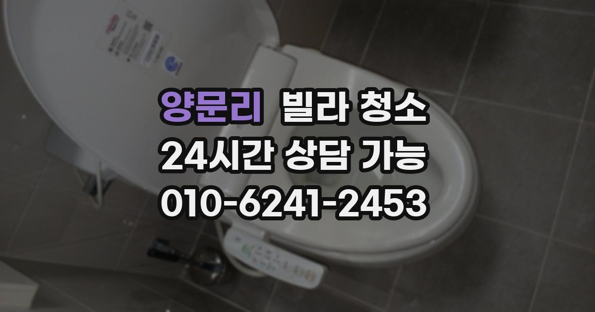 양문리 빌라 청소