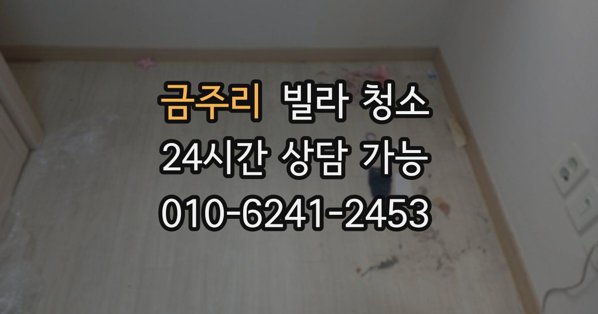 금주리 빌라 청소
