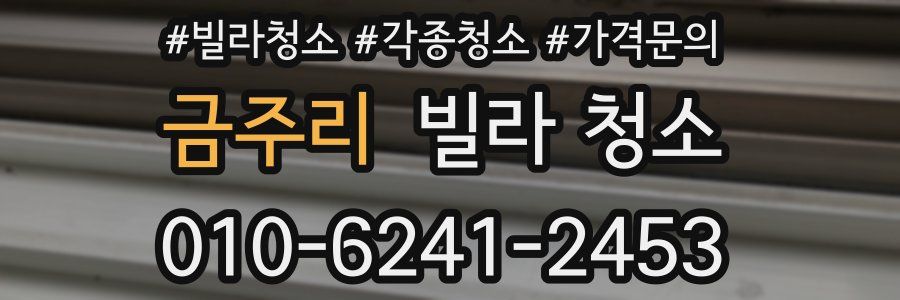 금주리 빌라 청소