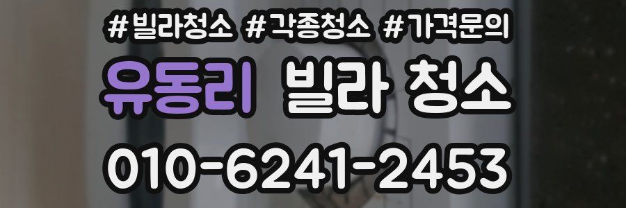 유동리 빌라 청소