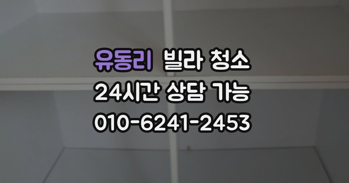 유동리 빌라 청소