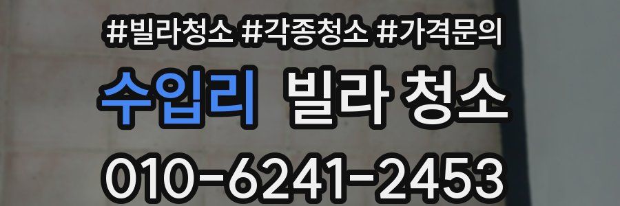 수입리 빌라 청소