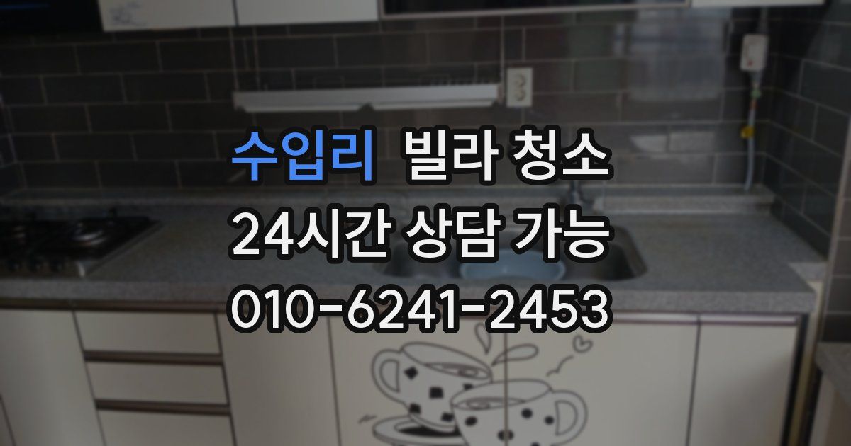 수입리 빌라 청소