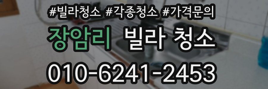 장암리 빌라 청소