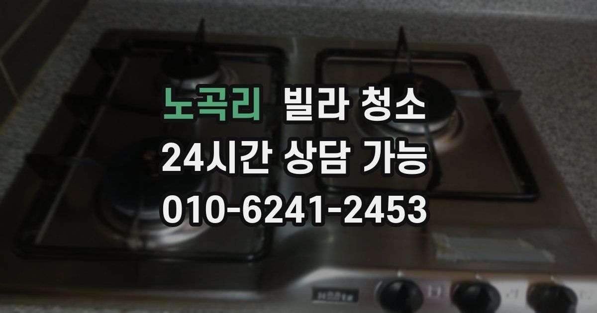 노곡리 빌라 청소