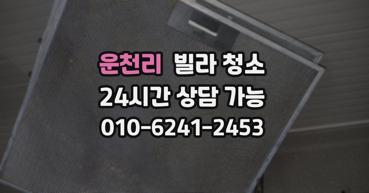 운천리 빌라 청소