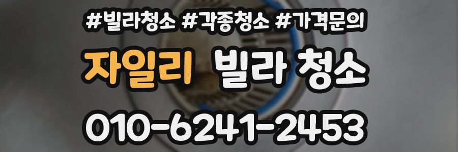 자일리 빌라 청소