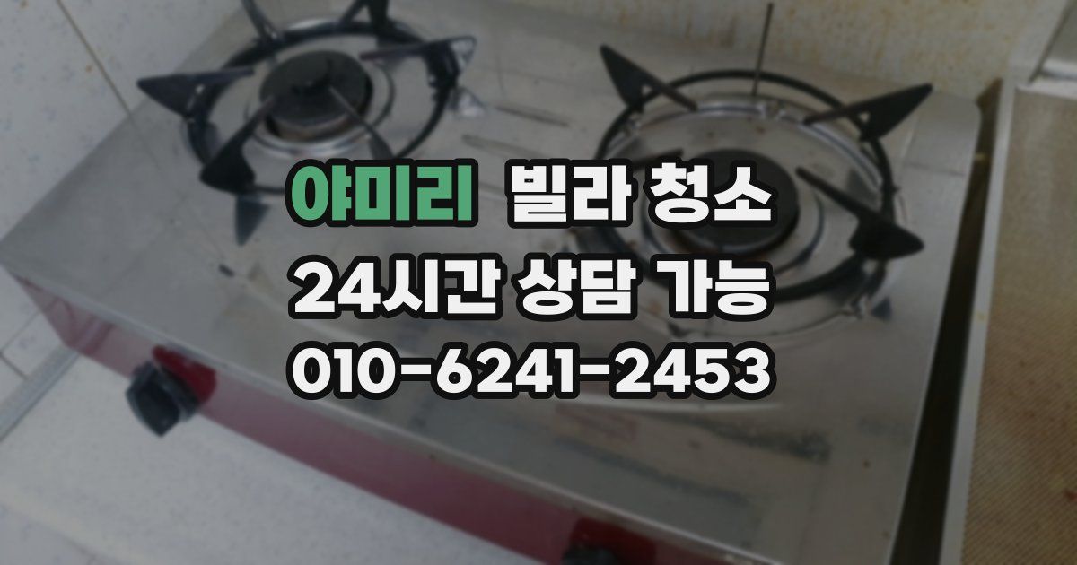 야미리 빌라 청소