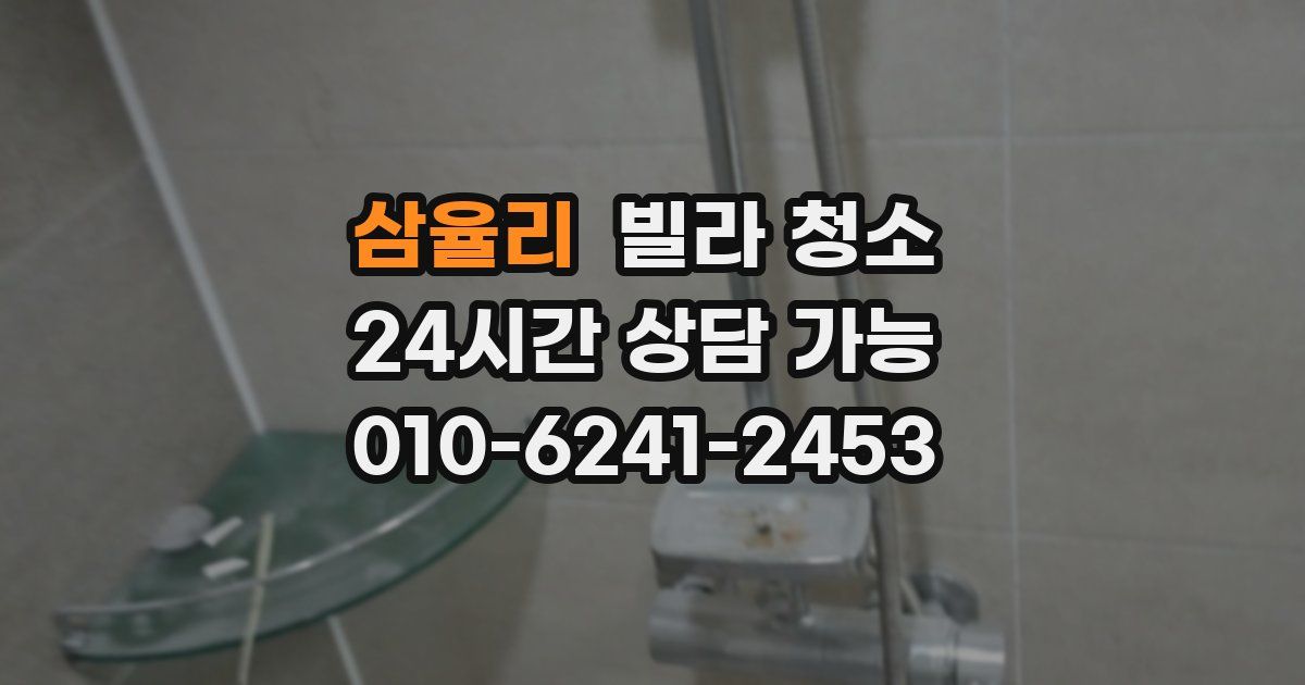 삼율리 빌라 청소