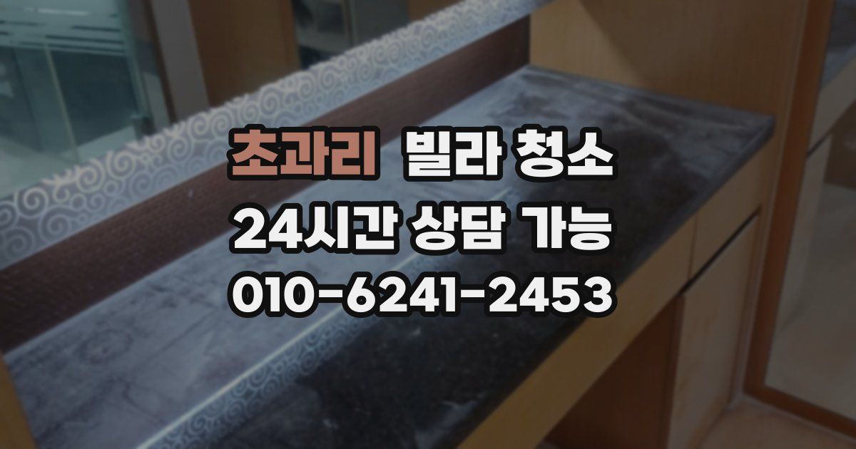초과리 빌라 청소
