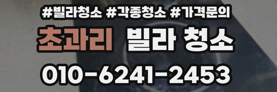 초과리 빌라 청소