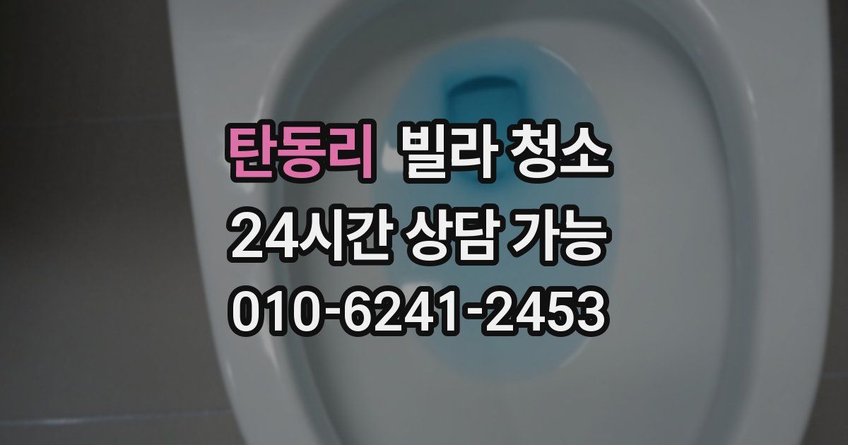 탄동리 빌라 청소