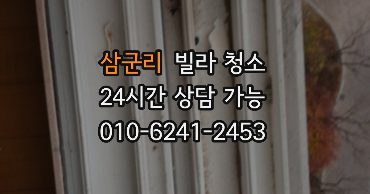 삼군리 빌라 청소