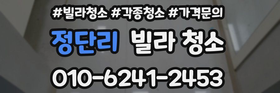 정단리 빌라 청소