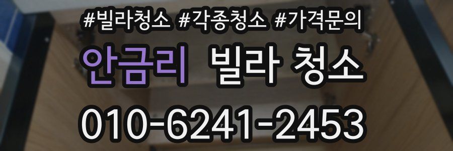 안금리 빌라 청소