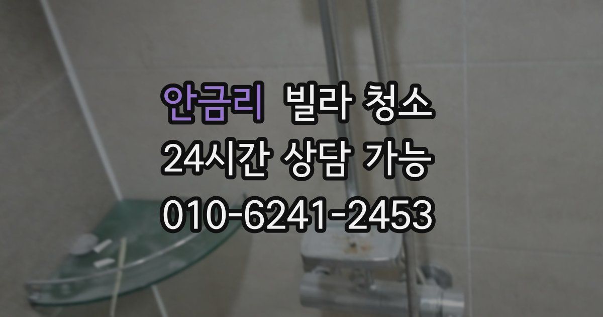 안금리 빌라 청소