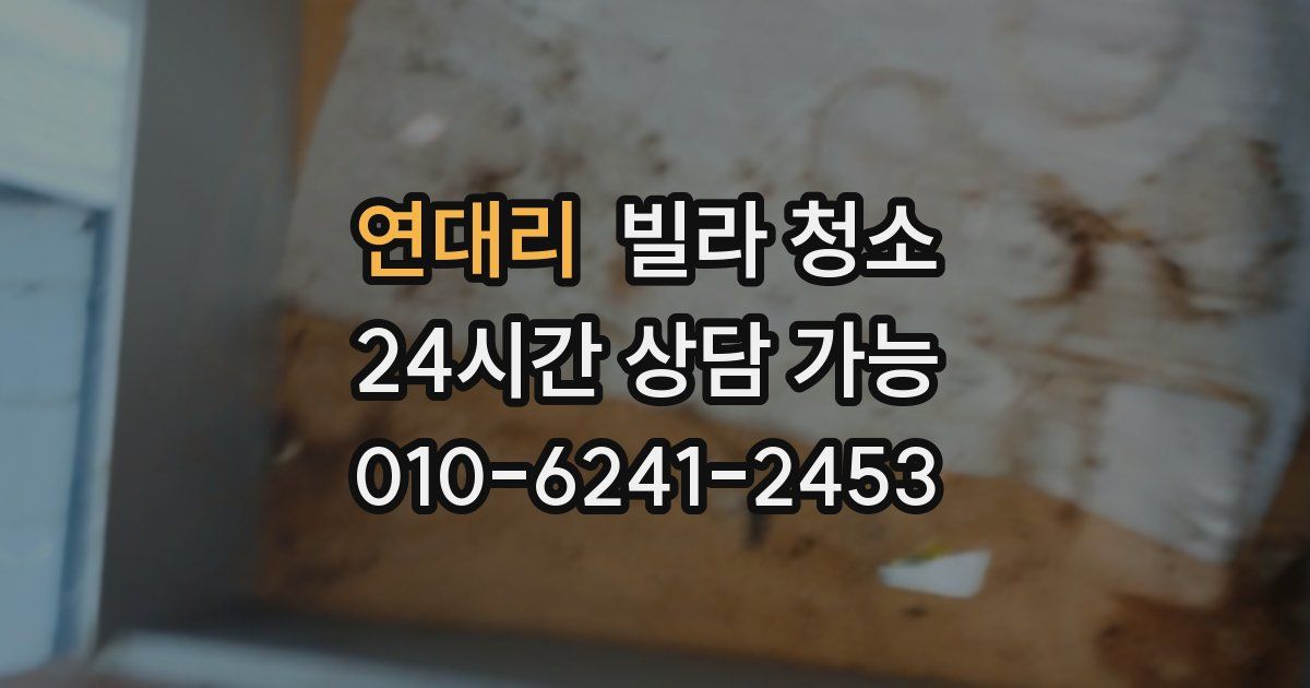 연대리 빌라 청소