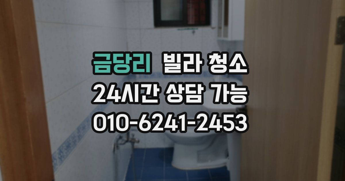 금당리 빌라 청소