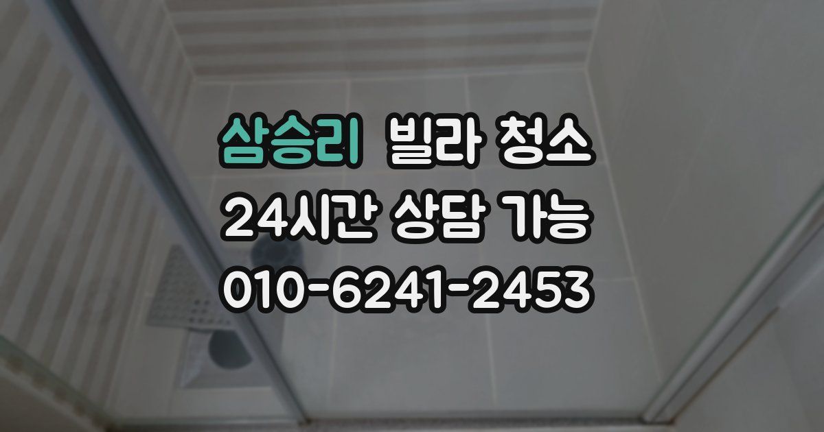 삼승리 빌라 청소