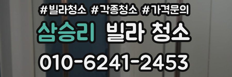 삼승리 빌라 청소