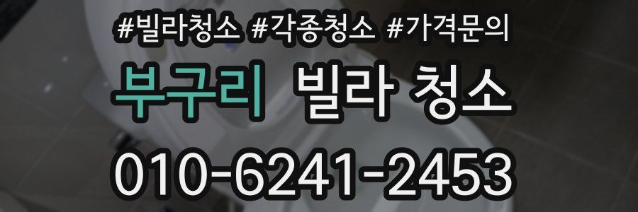 부구리 빌라 청소
