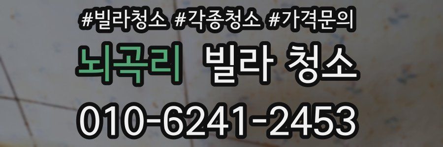 뇌곡리 빌라 청소