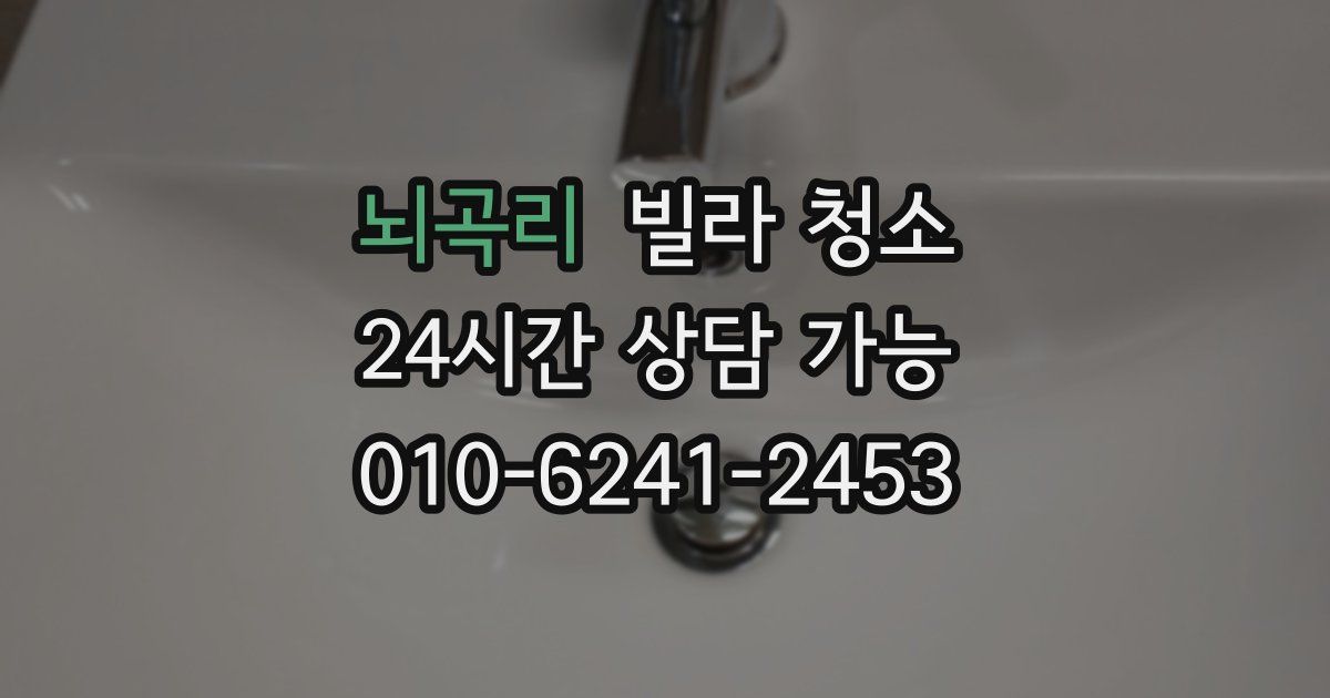 뇌곡리 빌라 청소