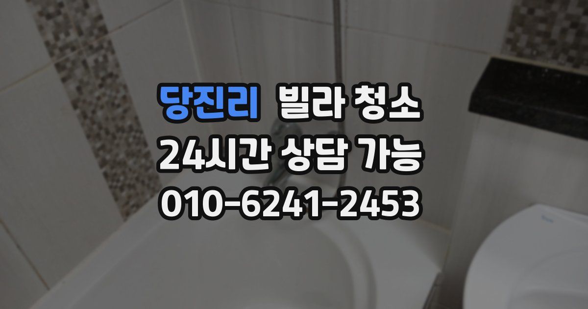 당진리 빌라 청소