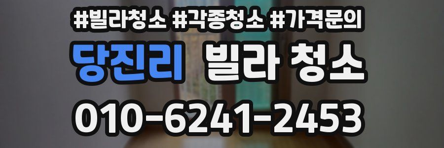 당진리 빌라 청소