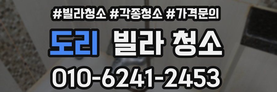 도리 빌라 청소