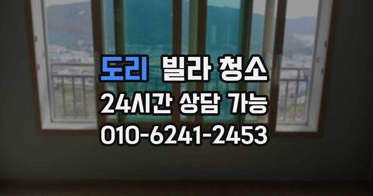 도리 빌라 청소