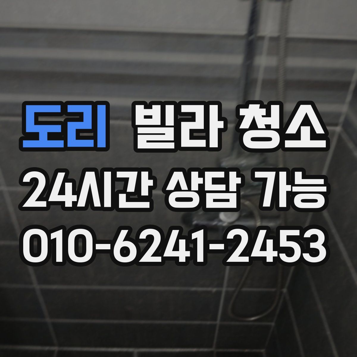 도리 빌라 청소