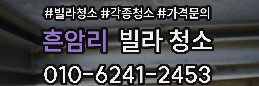 흔암리 빌라 청소