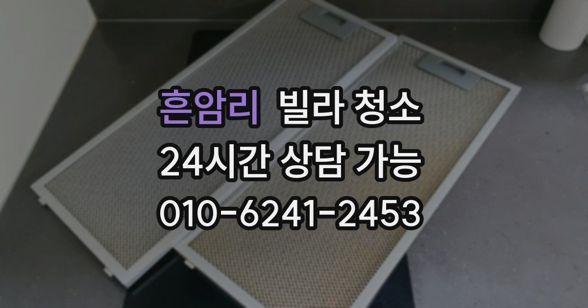 흔암리 빌라 청소