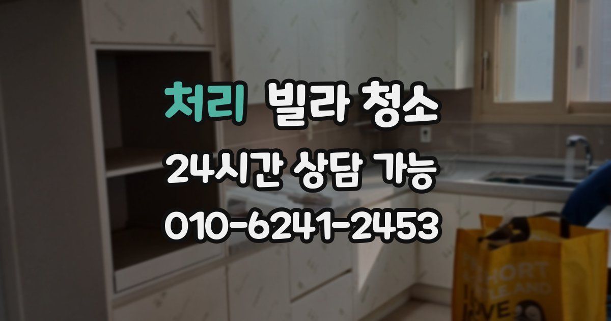 처리 빌라 청소